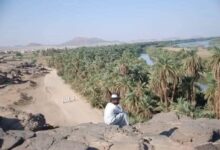 منطقة منطقة السِّكّوْت تمثل إحدى المناطق النوبية الثلاث الواقعة داخل الحدود السودانية بين مدينتي دنقلا ووادي حلفا.