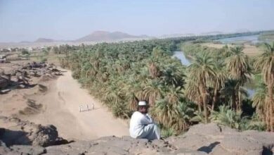 منطقة منطقة السِّكّوْت تمثل إحدى المناطق النوبية الثلاث الواقعة داخل الحدود السودانية بين مدينتي دنقلا ووادي حلفا.